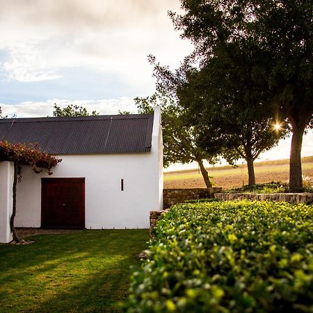 Vineyard Cottage At Bosman Wines Wellington Esterno foto