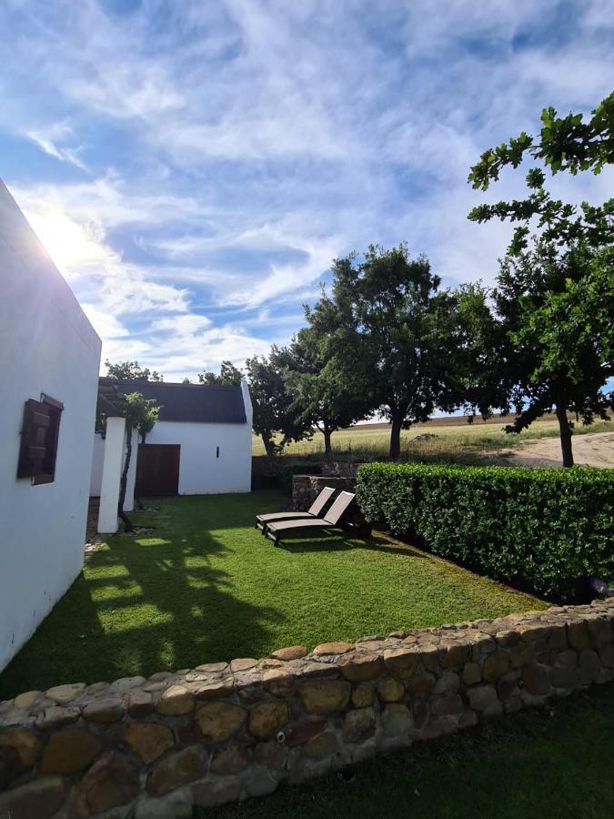 Vineyard Cottage At Bosman Wines Wellington Esterno foto