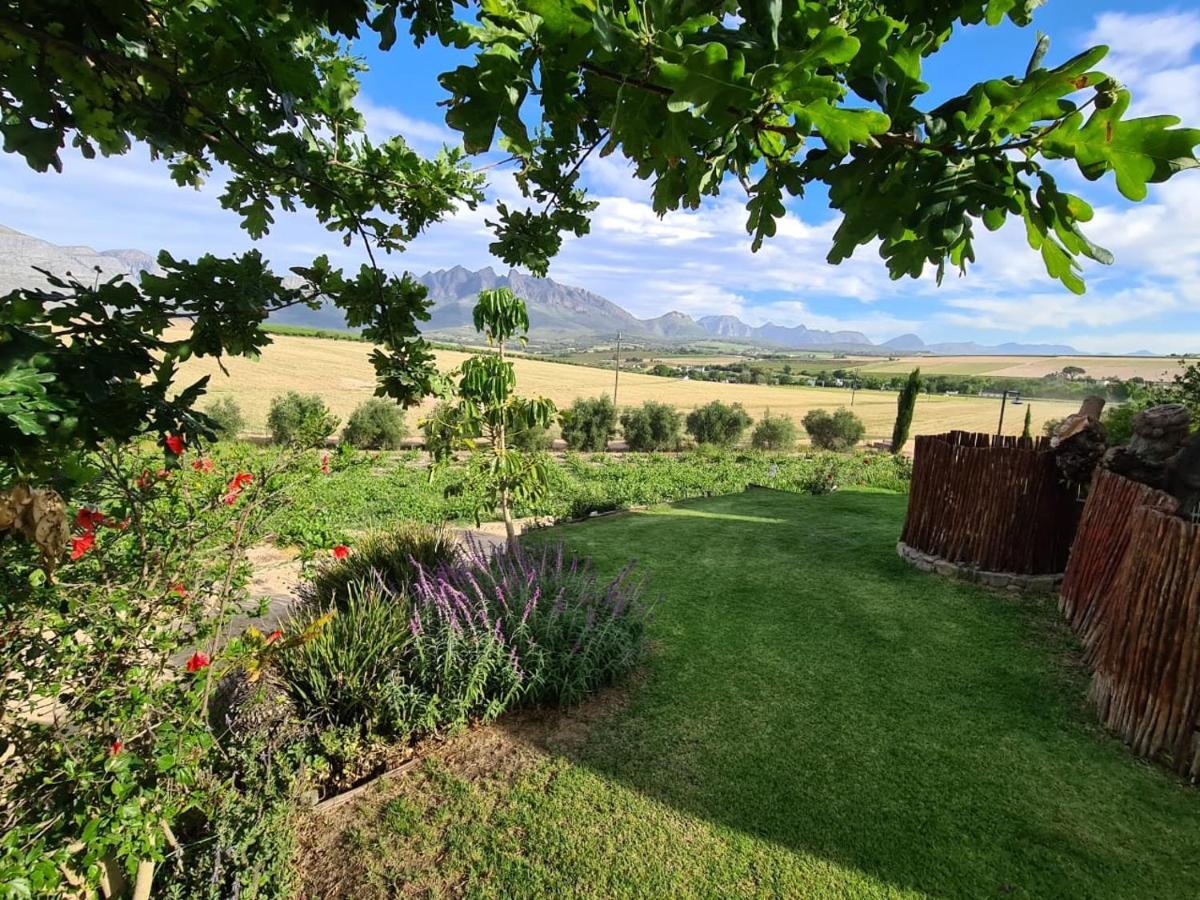 Vineyard Cottage At Bosman Wines Wellington Esterno foto