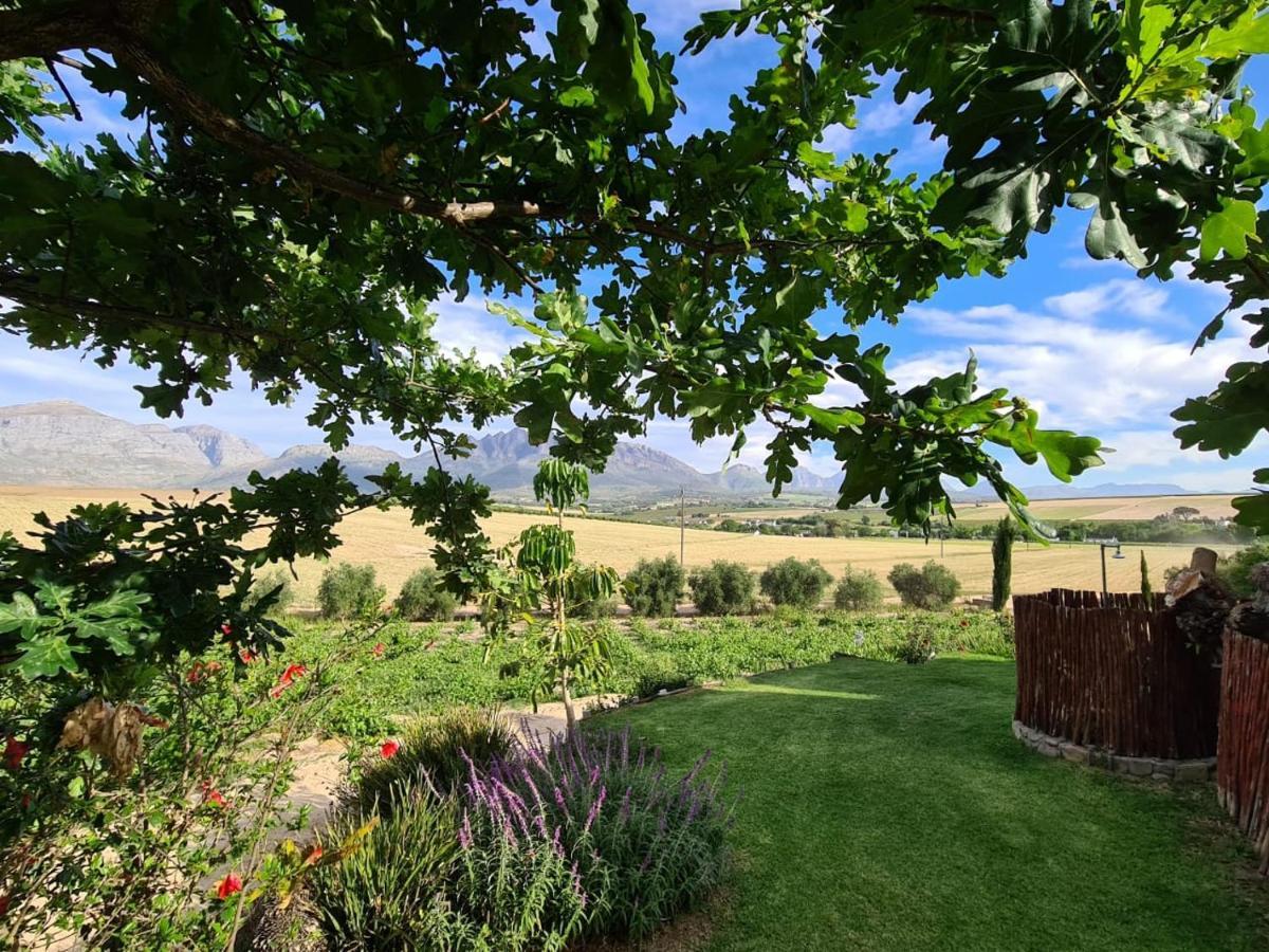 Vineyard Cottage At Bosman Wines Wellington Esterno foto