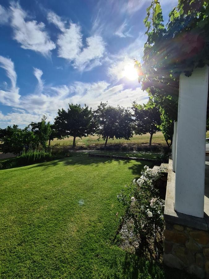 Vineyard Cottage At Bosman Wines Wellington Esterno foto
