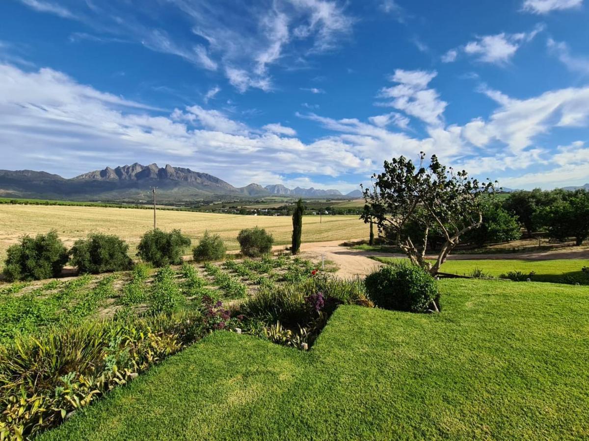 Vineyard Cottage At Bosman Wines Wellington Esterno foto