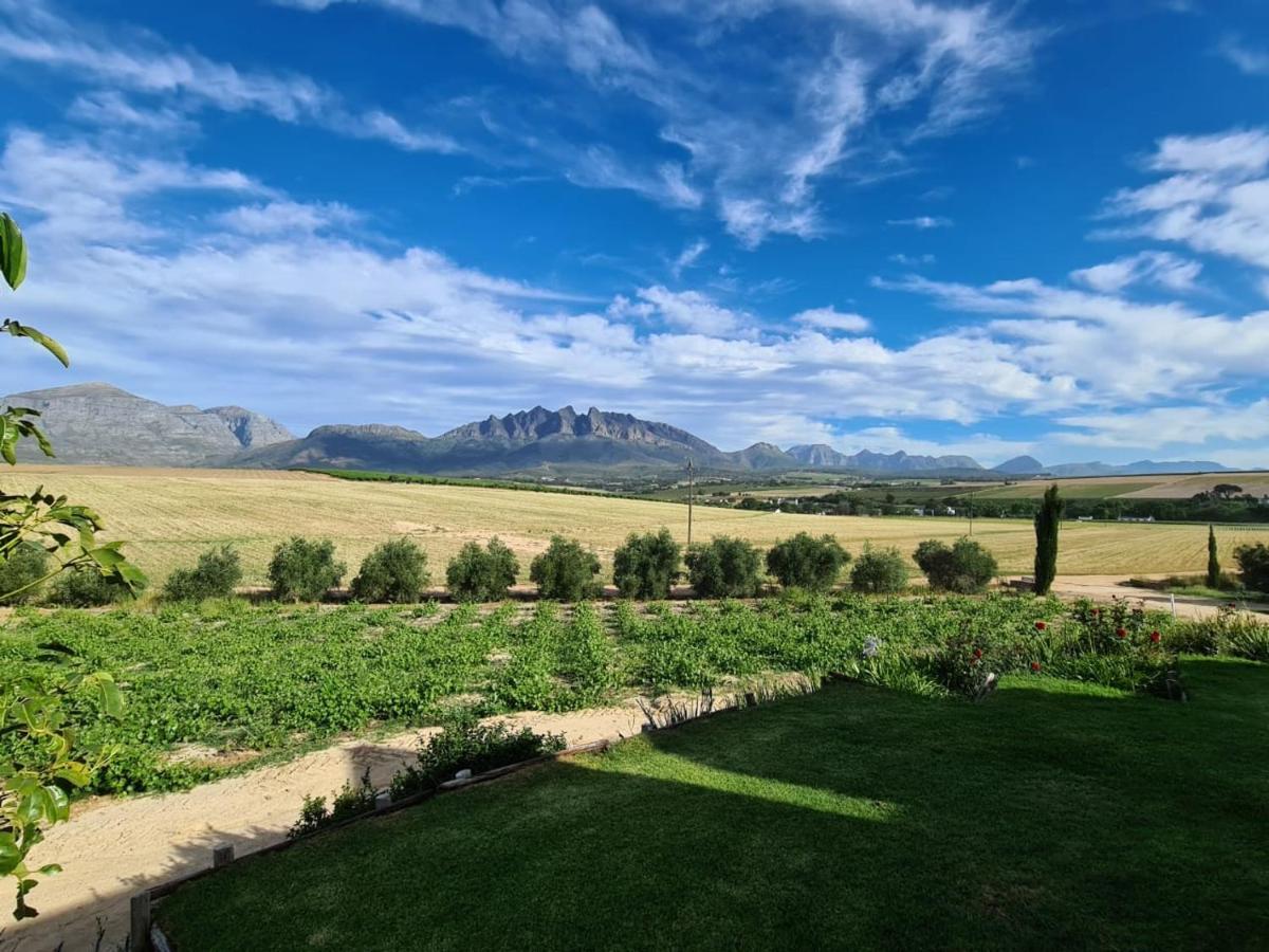 Vineyard Cottage At Bosman Wines Wellington Esterno foto