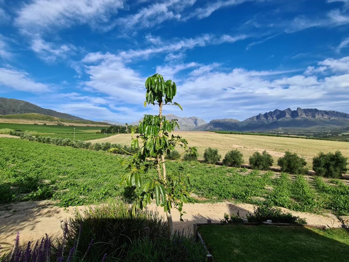 Vineyard Cottage At Bosman Wines Wellington Esterno foto