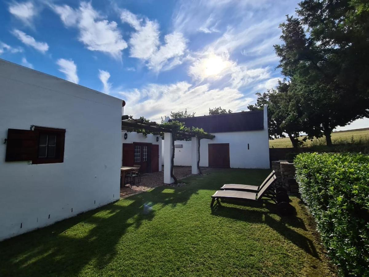 Vineyard Cottage At Bosman Wines Wellington Esterno foto
