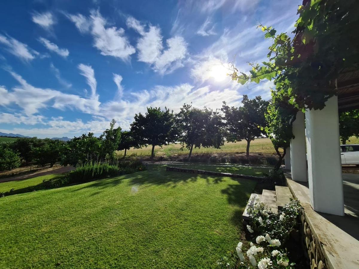Vineyard Cottage At Bosman Wines Wellington Esterno foto