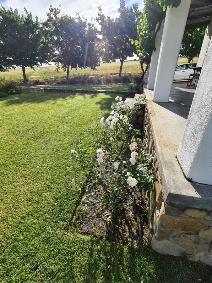 Vineyard Cottage At Bosman Wines Wellington Esterno foto