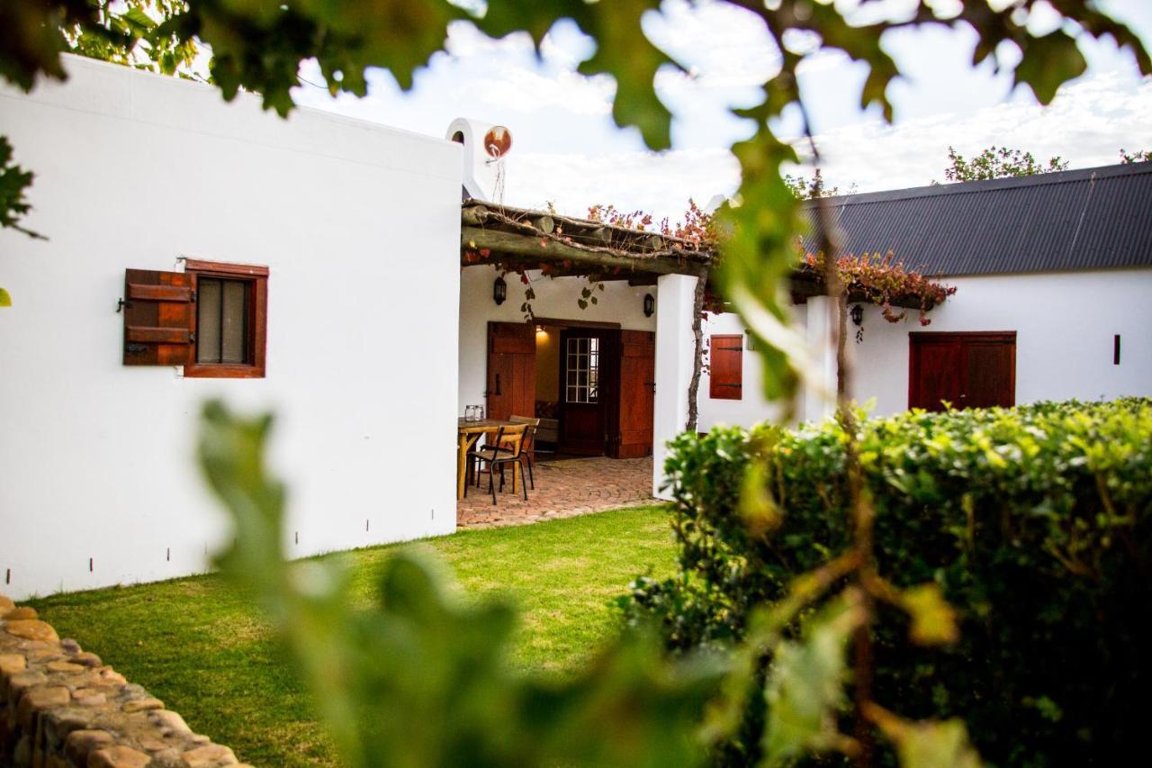 Vineyard Cottage At Bosman Wines Wellington Esterno foto