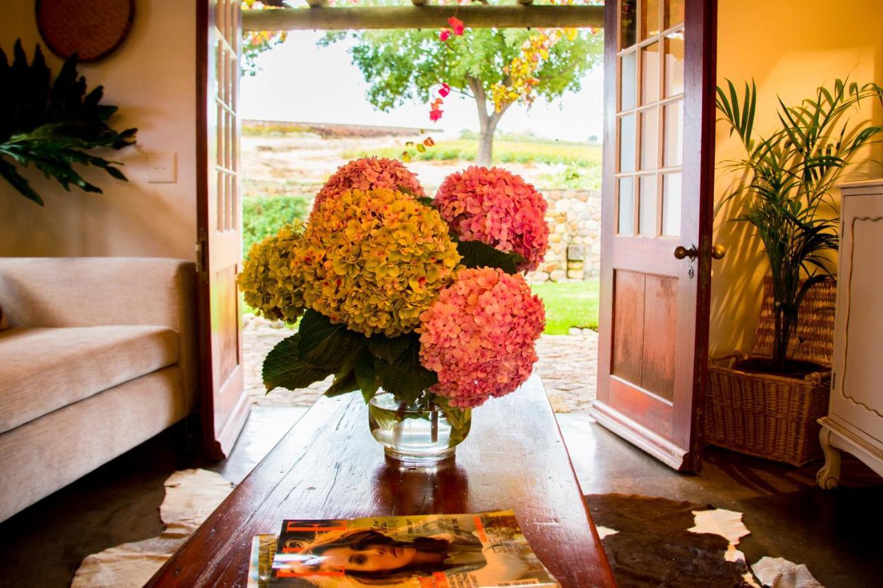 Vineyard Cottage At Bosman Wines Wellington Esterno foto