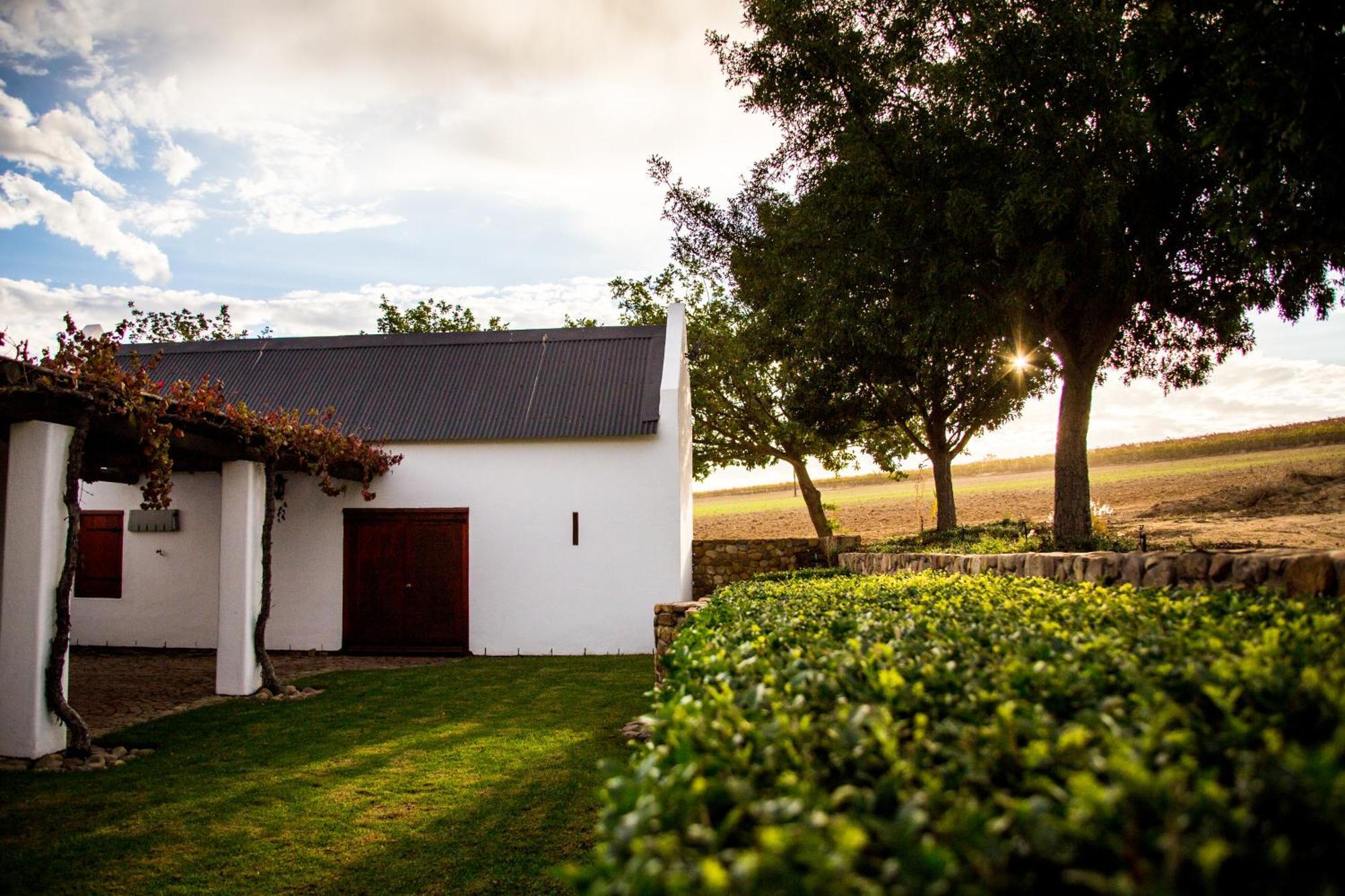 Vineyard Cottage At Bosman Wines Wellington Esterno foto