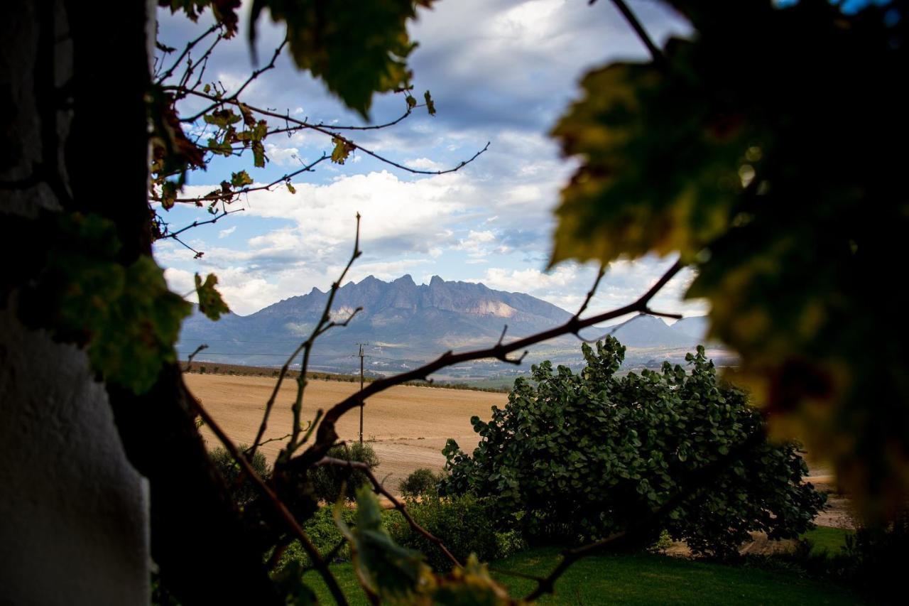 Vineyard Cottage At Bosman Wines Wellington Esterno foto