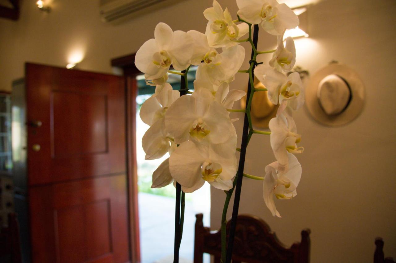 Vineyard Cottage At Bosman Wines Wellington Esterno foto