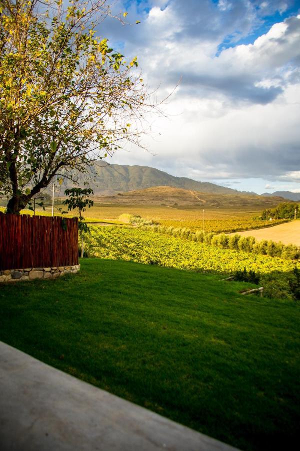 Vineyard Cottage At Bosman Wines Wellington Esterno foto