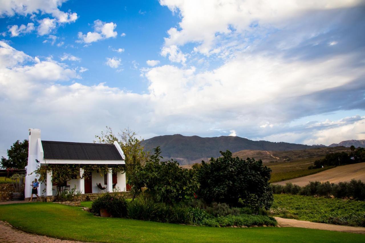 Vineyard Cottage At Bosman Wines Wellington Esterno foto