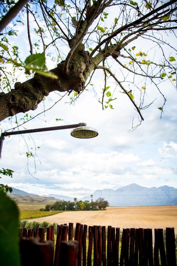 Vineyard Cottage At Bosman Wines Wellington Esterno foto