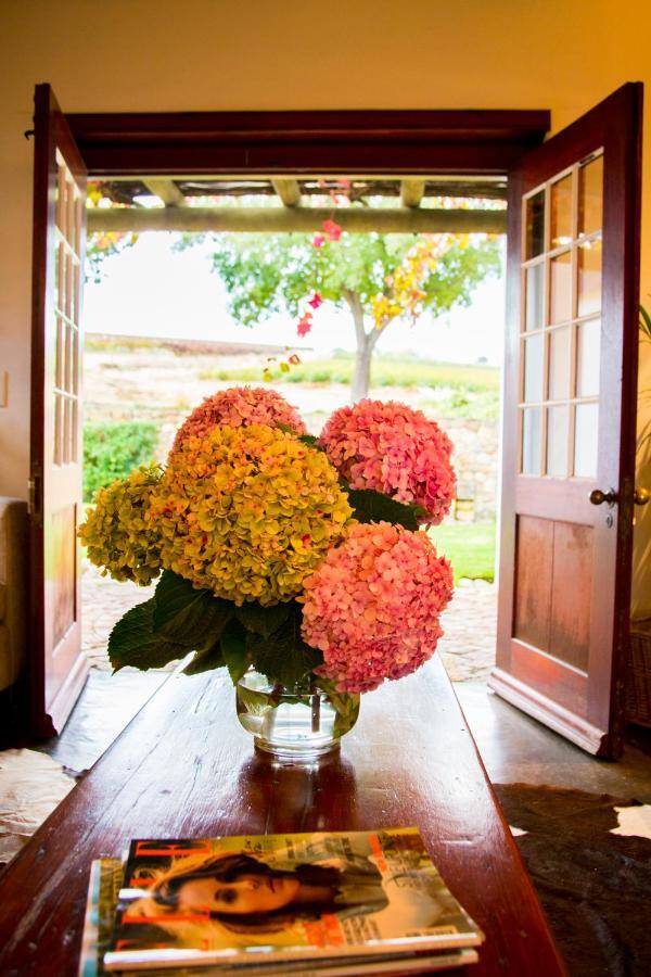 Vineyard Cottage At Bosman Wines Wellington Esterno foto